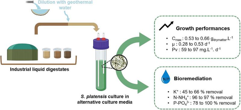 ARTICLE SCIENTIFIQUE 2024